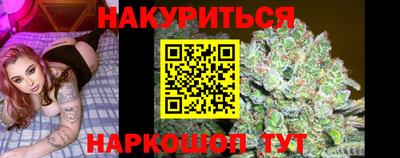 Альфа ПВП Ставрополь