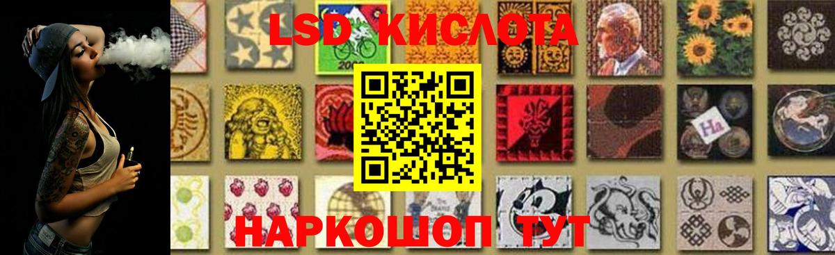 Галлюциногенные грибы Михайловка