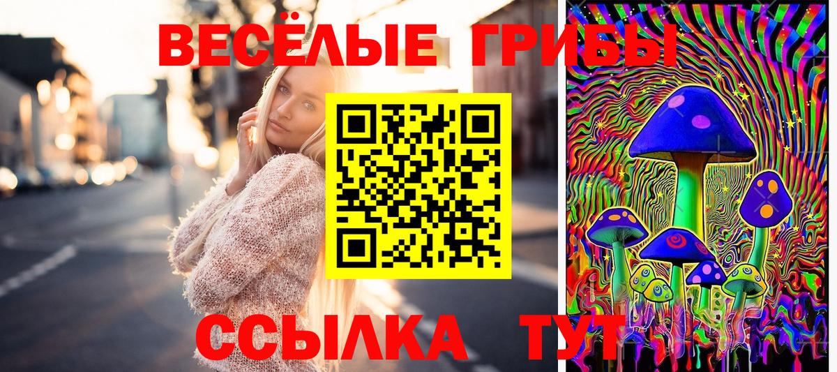 Галлюциногенные грибы Magic Shrooms Михайловка