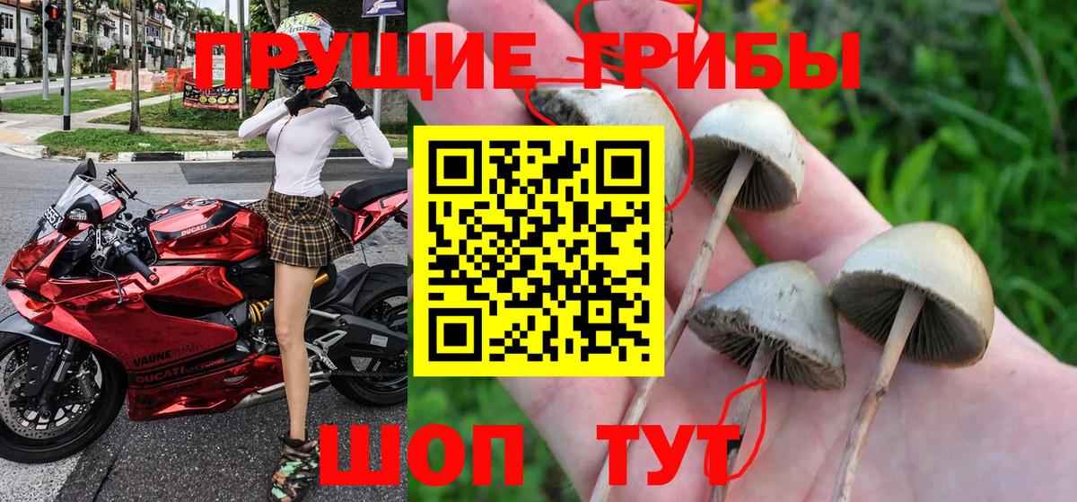 Галлюциногенные грибы ЛСД  Вход с VPN  Псилоцибиновые грибы прущие грибы  Михайловка 